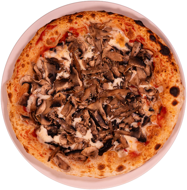 Funghi